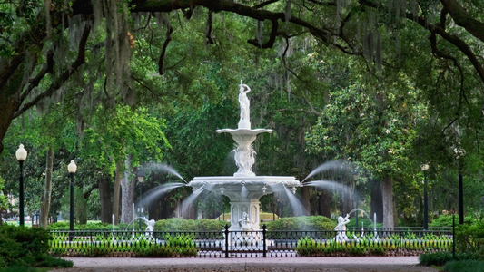 Savannah